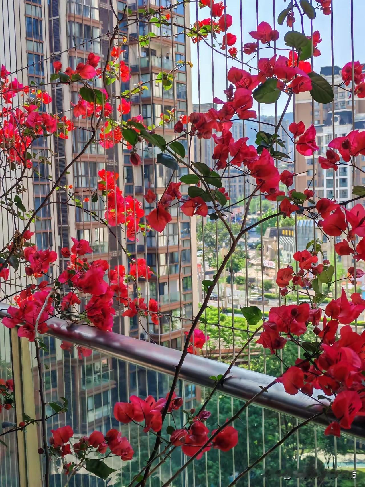 女人结婚以后生孩子到底是给谁生的？是夫妻双方生的还是给爷爷奶奶生的还是给家