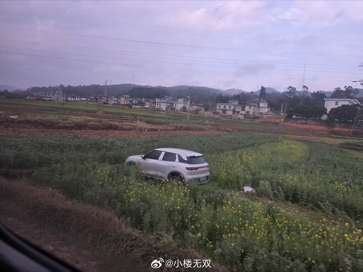 绝对是老司机，必须赔村民油菜损失