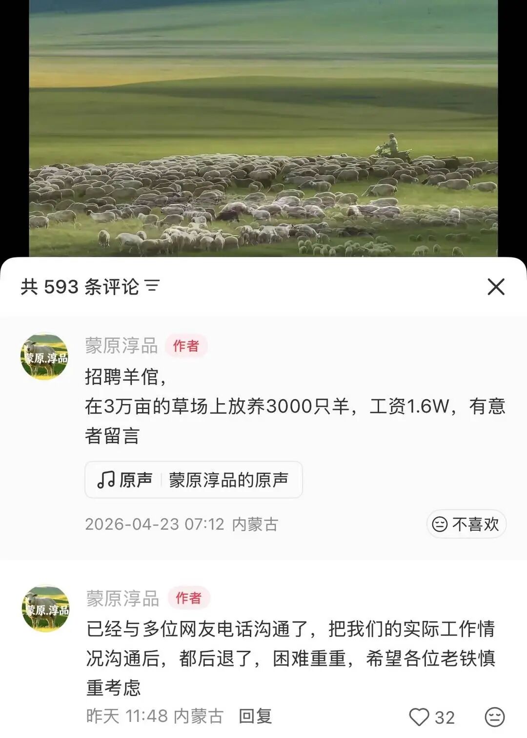 月薪1.6万, 全年无休包吃包住! 内蒙古老板招人放3000只羊: 面试后定了两对夫妻, 还在试岗期