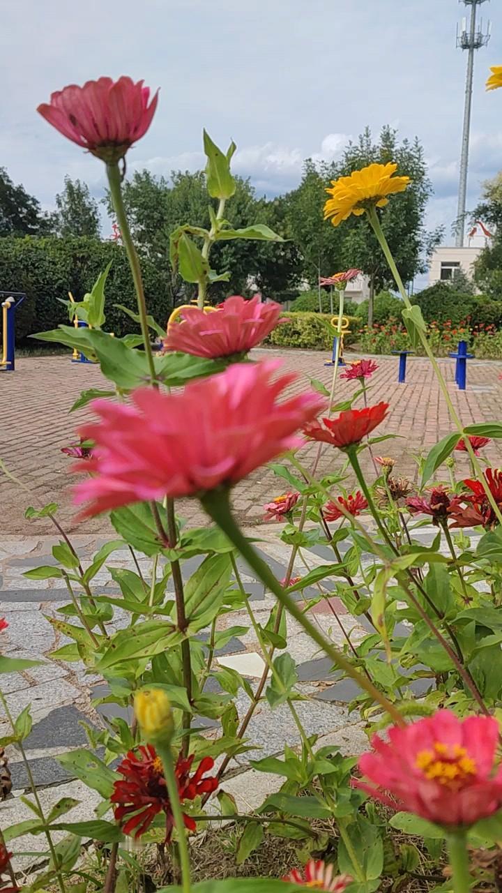 掏心掏肺都对娘家侄子侄女好，啥用没有。我娘活着时候就是惦记她娘家，她娘家嫂子死的