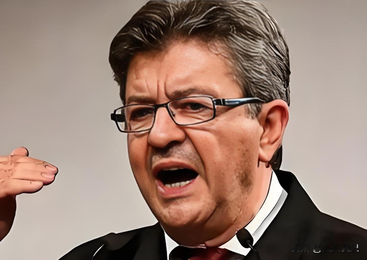 法国出了一位敢撂真话的总统参选人，他对着镜头的一席话石破天惊：如果我当选法国总统
