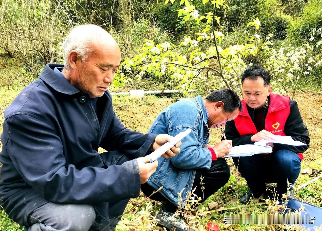 “群众过节，干部过关”，一句话道尽了基层干部的辛酸与无奈近年来，