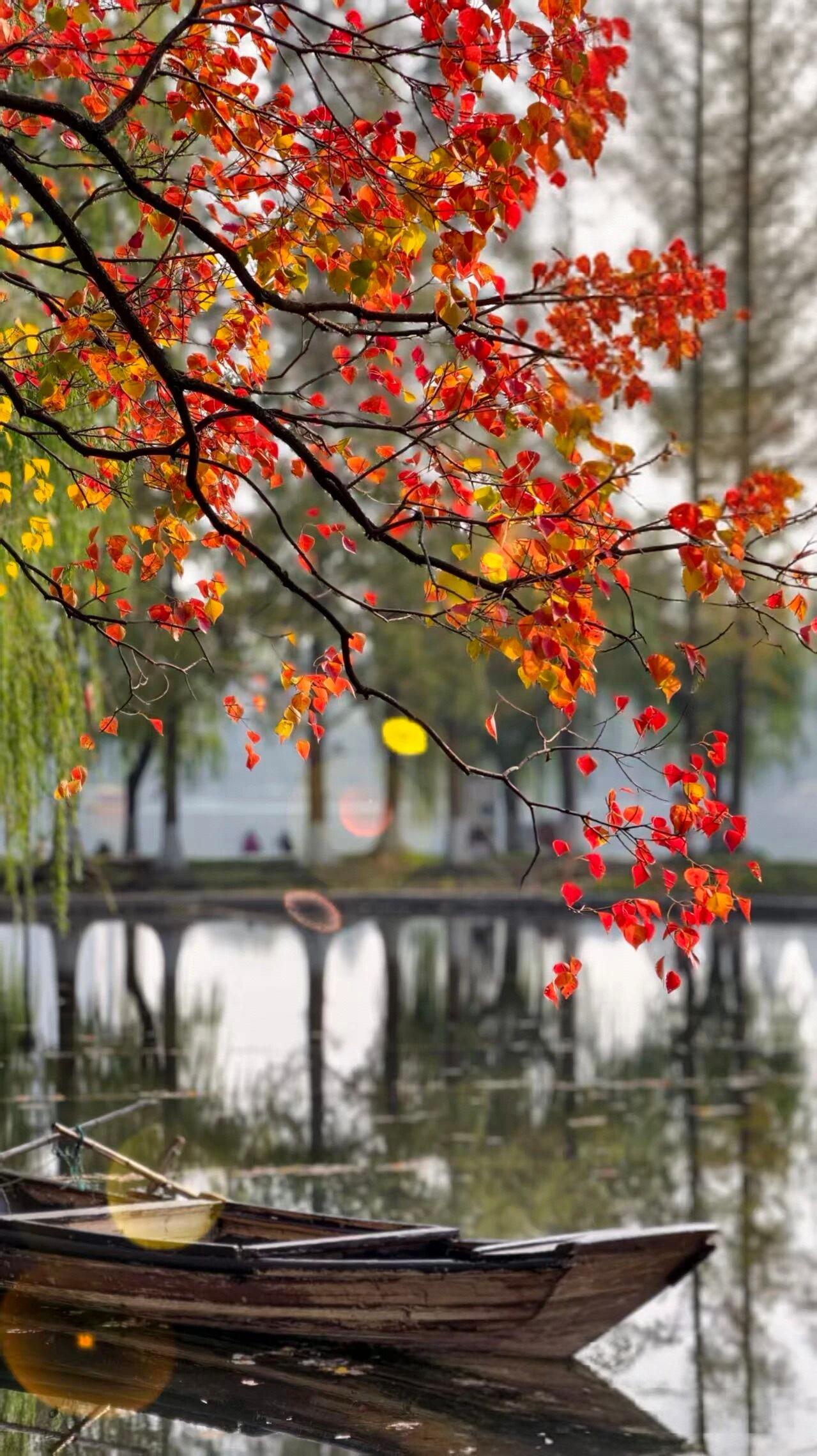 学习这个东西真的需要天赋的。我们家两个孩子，男孩子学数学从来没有补过课，上一次数