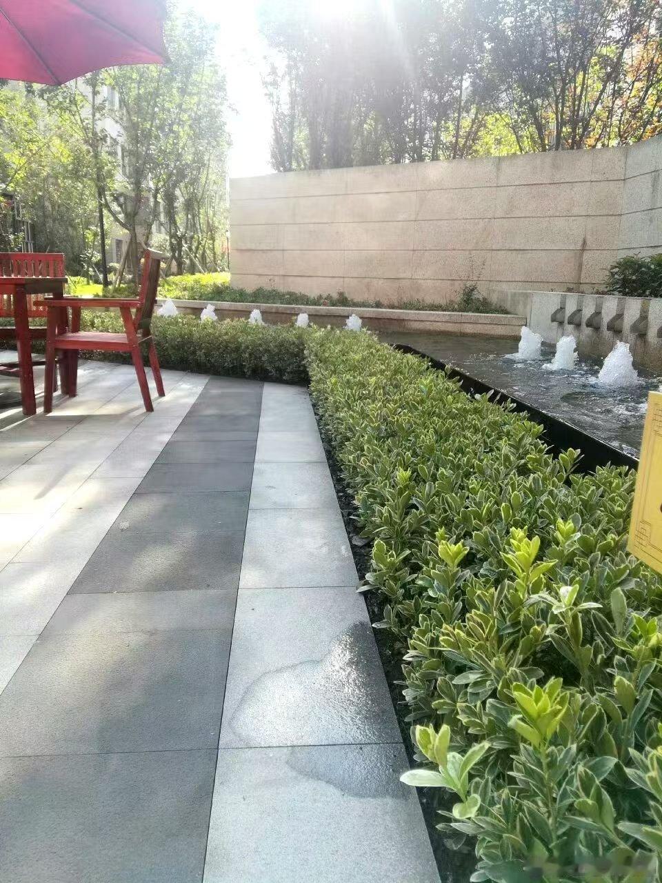 一些玄学：房子越住越旺的征兆1、家中的绿植越长越好，枝繁叶茂还开花2、客厅永远