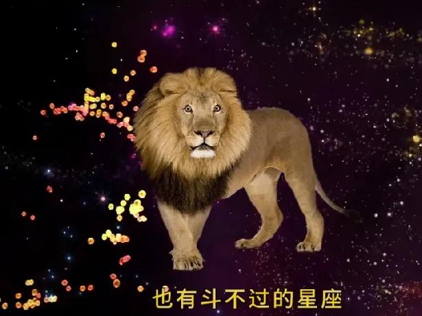 很多人会说狮子座最怕天蝎座，这更多是星座性格的趣味参考，并不具备科学依据。狮子天