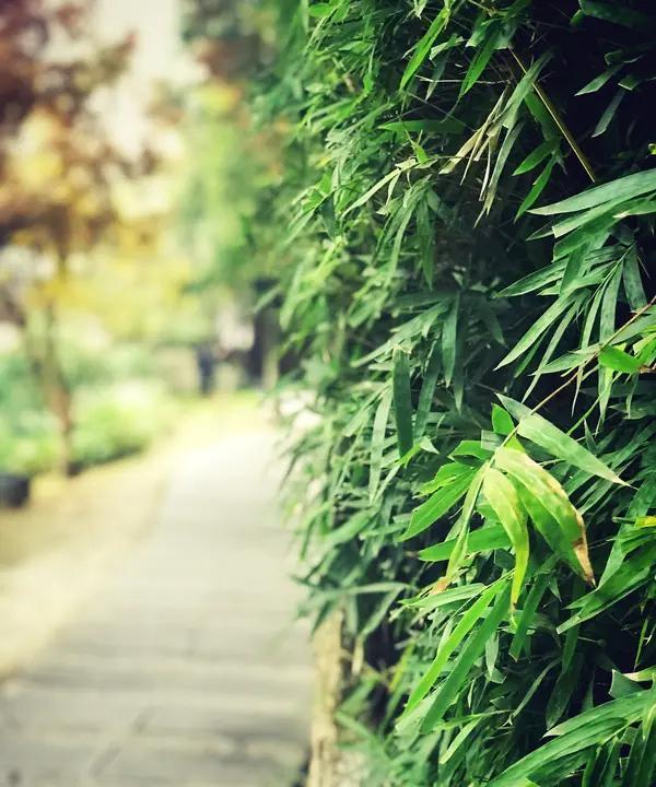 曾仕强教授说：