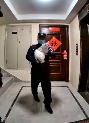 小区物业敲开女子家门：你的猫跑了[捂脸哭]铲屎官们在搬到一个新地方时，都希望能遇到