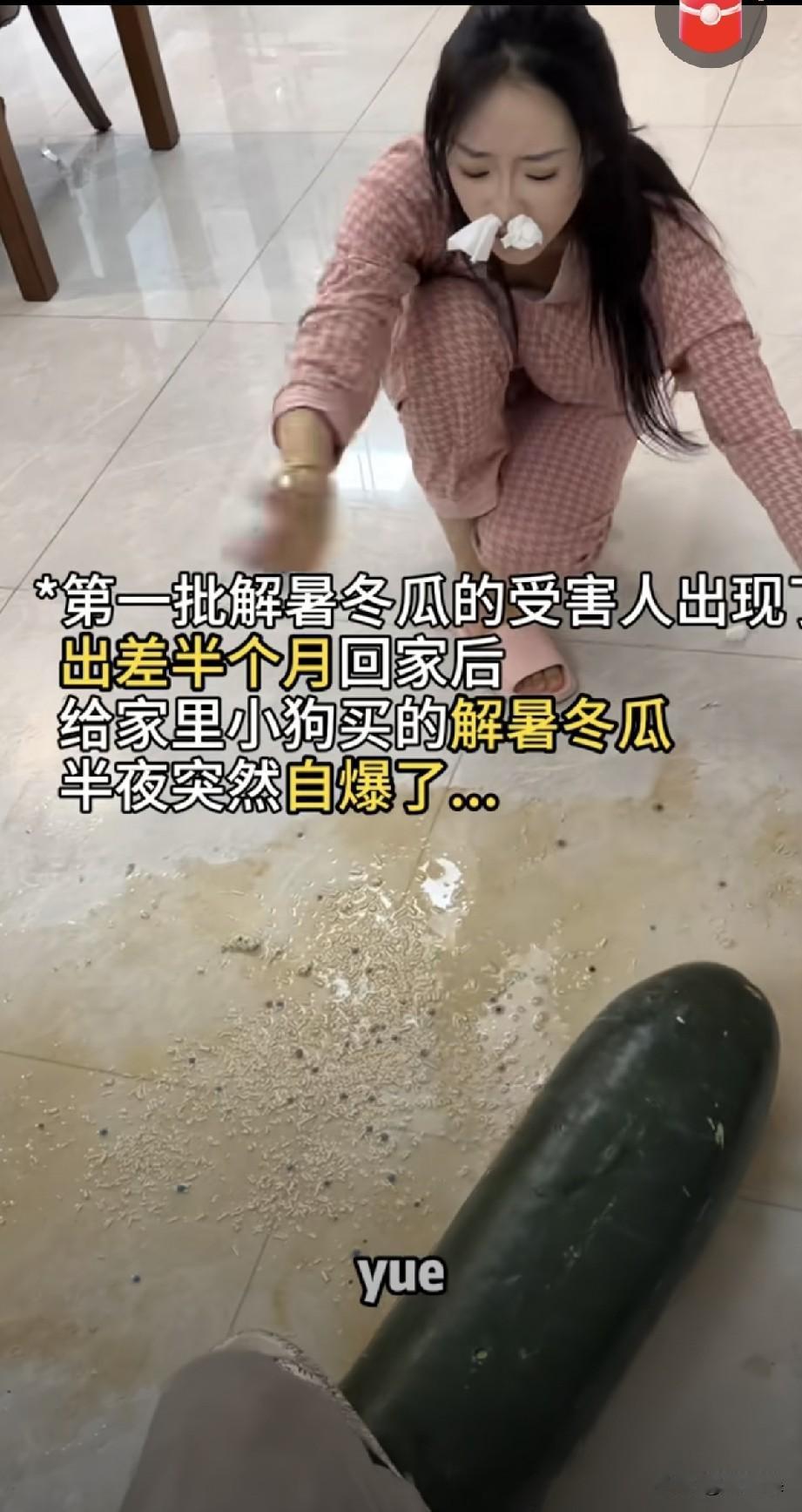 我就说夏天抱冬瓜降温，冬瓜会坏得快，可是没人相信我。这不受害人出现了，给宠