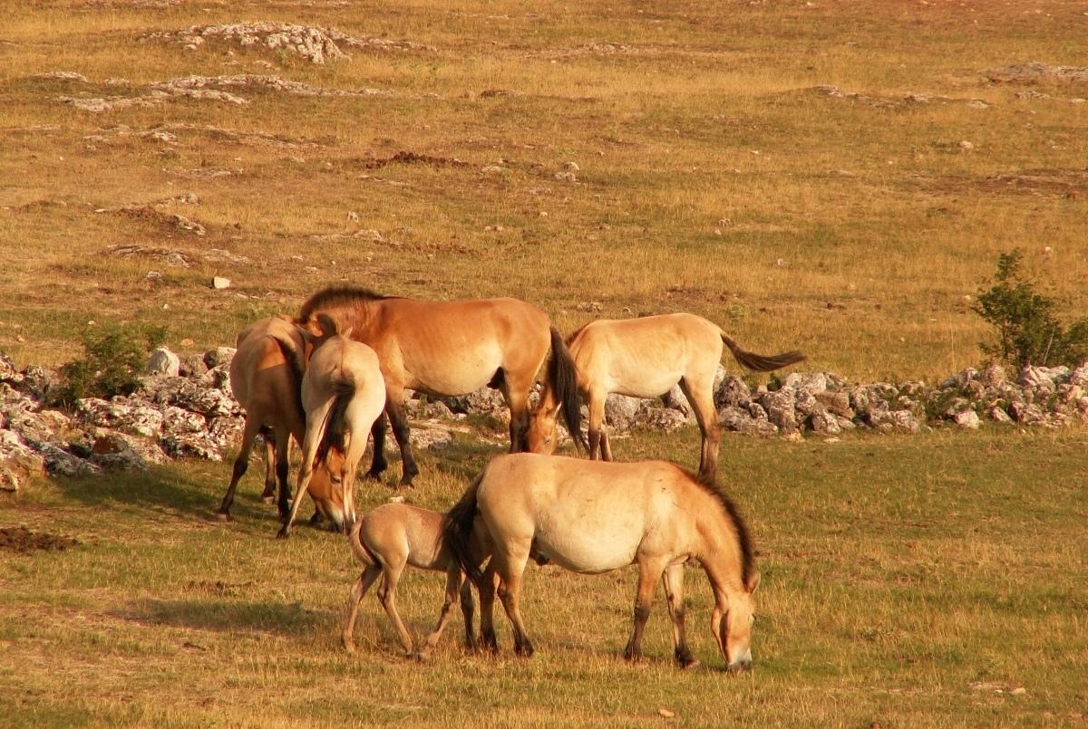 拍马屁是混社会的首要手段。对么不对。太消极消沉了。