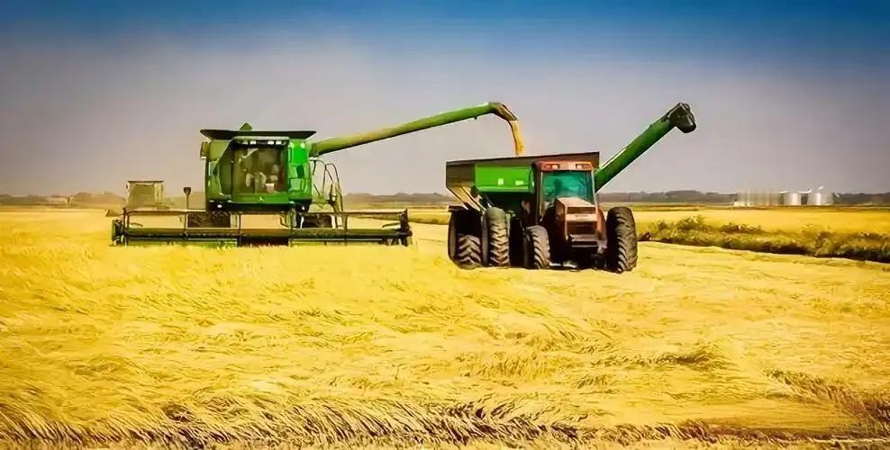 全球粮仓：探秘农业最发达的十个国家从辽阔平原到精巧温室，从现代化机械到前沿生