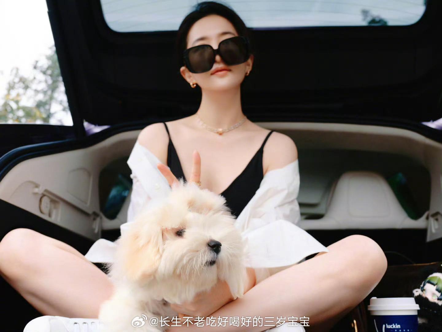 刘亦菲新狗狗啊啊啊！姐姐发日常了！新狗狗也太萌了吧，和仙女姐姐同框的画面好治愈！