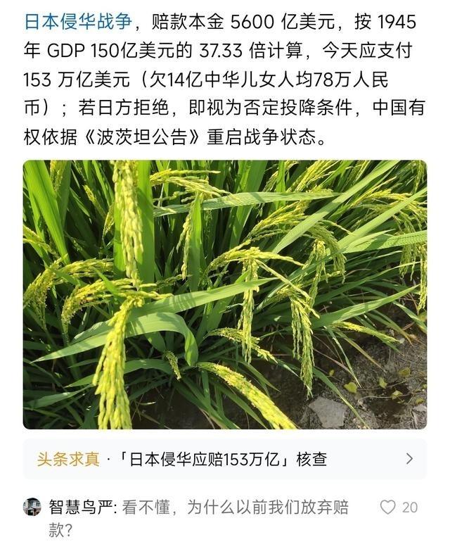 放弃日本赔款，真不是我们心善，更不是什么儒家思想害人，根本原因是我们拿不到。我们