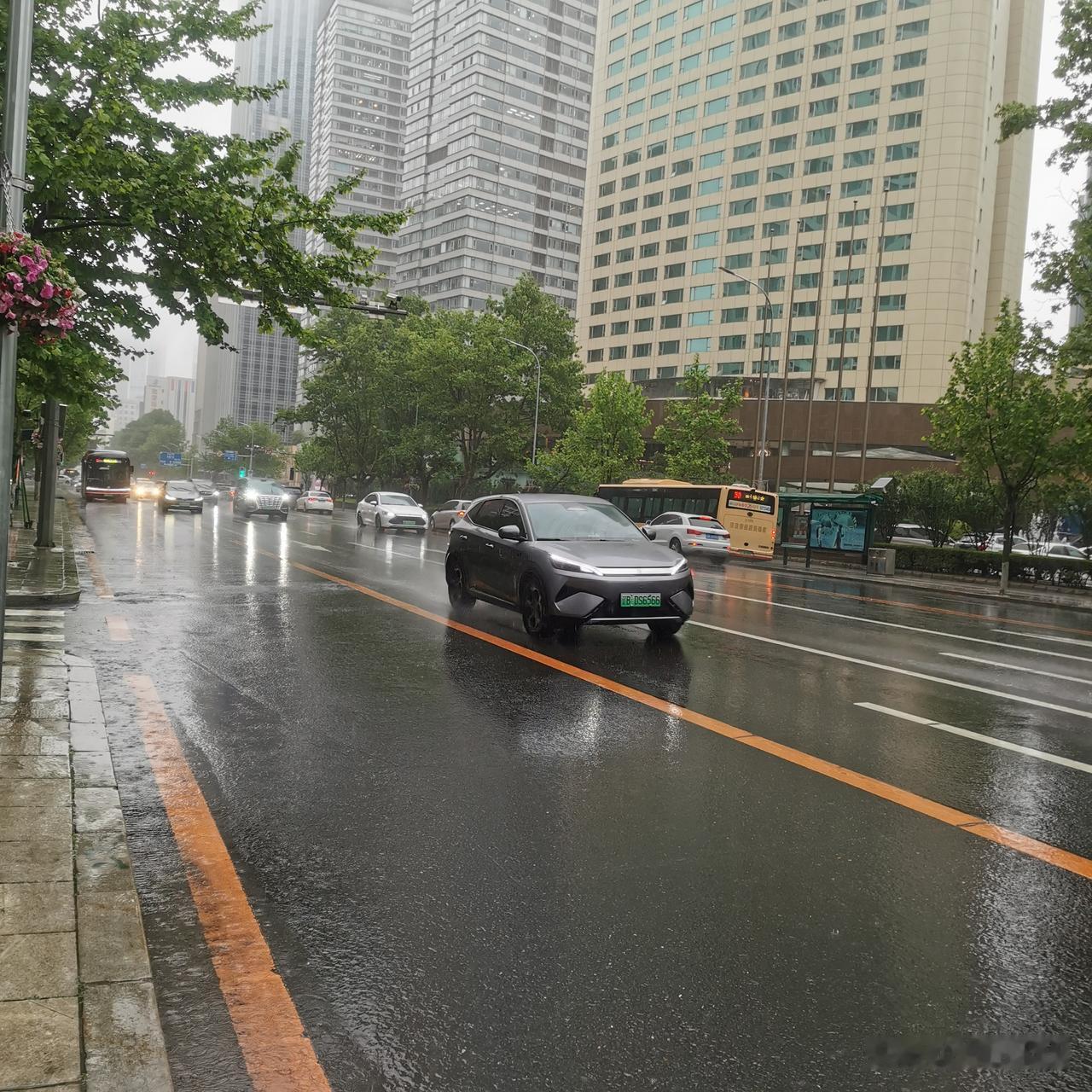 阴雨连绵的天气很少见！今天早上大连还在下雨……空气湿度99％，这几天的连