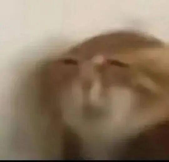 夜深人静的时候会觉得自己变小了​​​