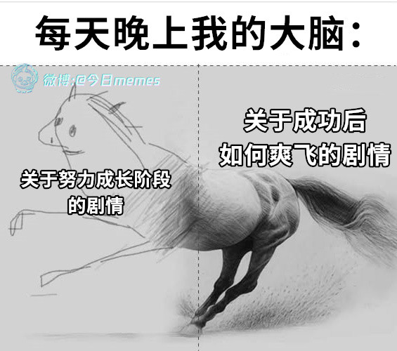 总之成了今日meme今日memes