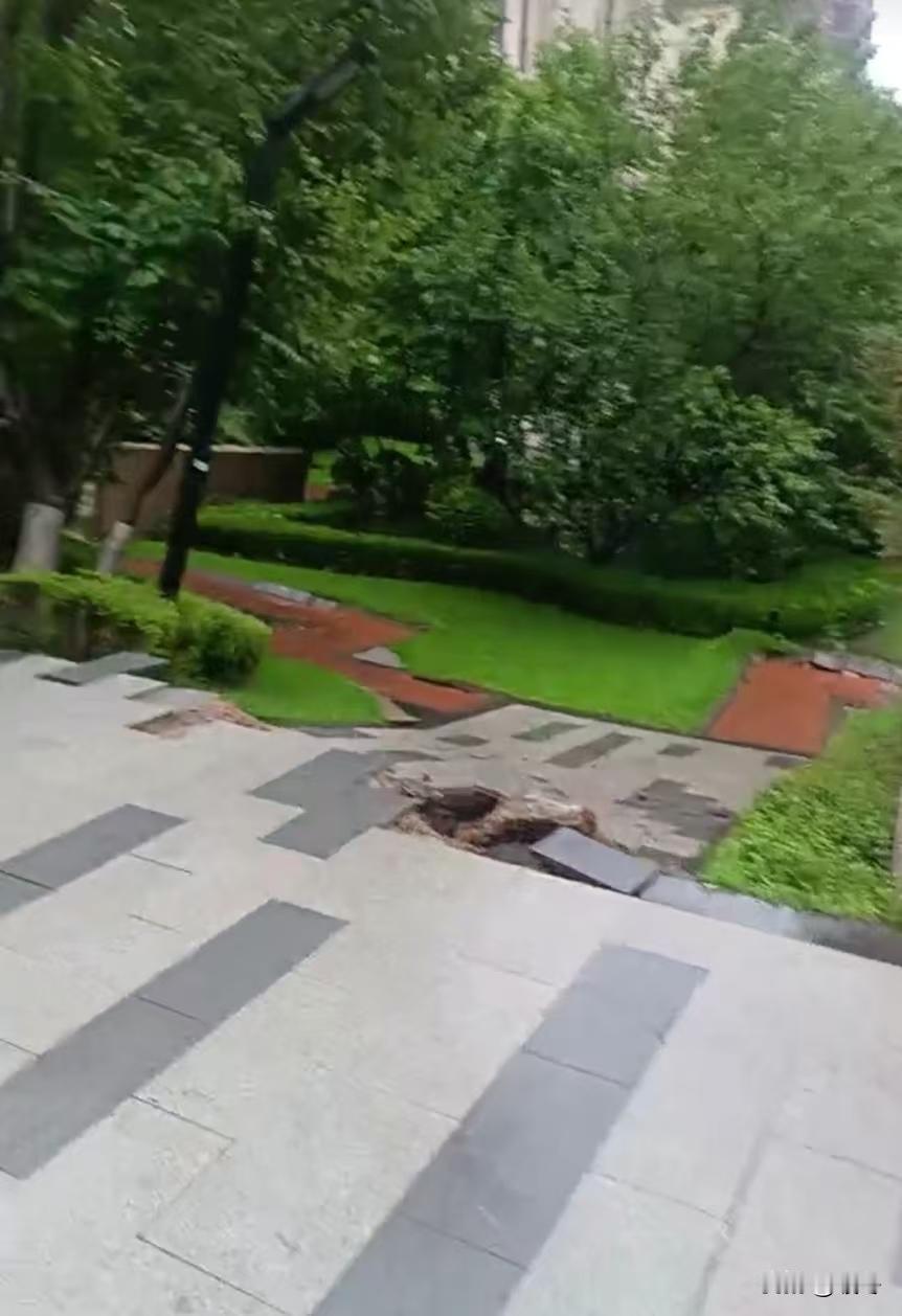 地面上的草坪猛地往下陷，业主攥着扶手站稳，才看清八百平地下车库，整片塌没了。