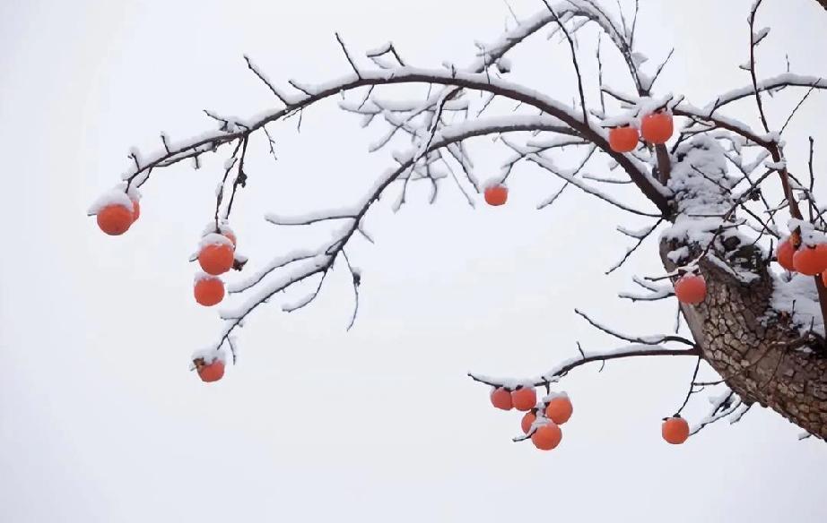 我朋友的母亲大概是在65岁左右查出了肺癌，查出来以后便四处求医问药无果，70多岁