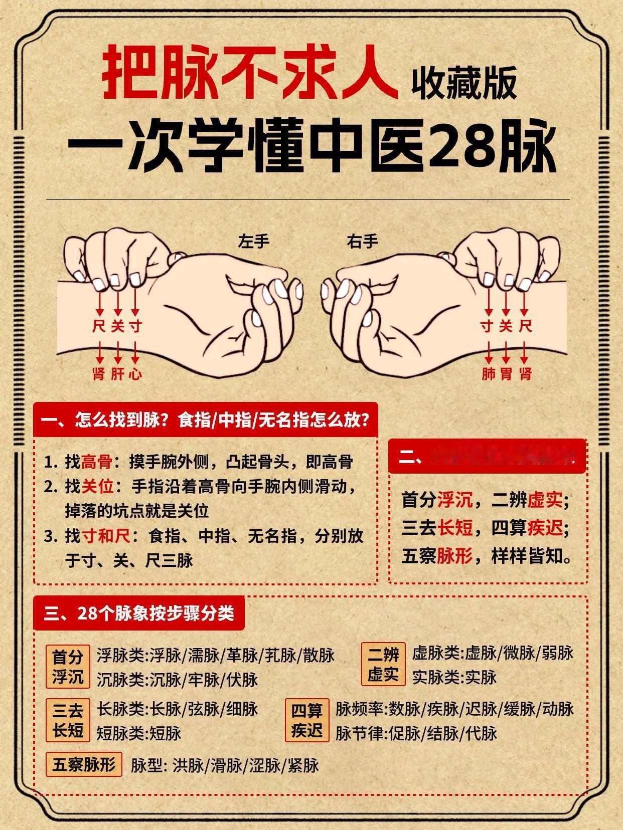 把脉不求人，一次学懂中医28脉，大白话版||📚中医脉诊，熬夜学习，吐血整理，直