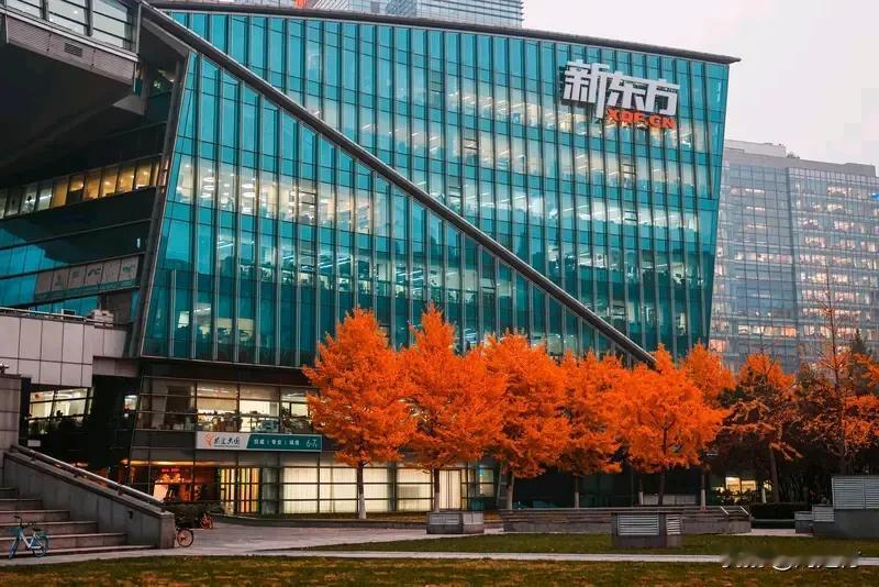 新东方年薪150万聘陈行甲为总顾问新东方以150万年薪聘陈行甲为总顾问1月2