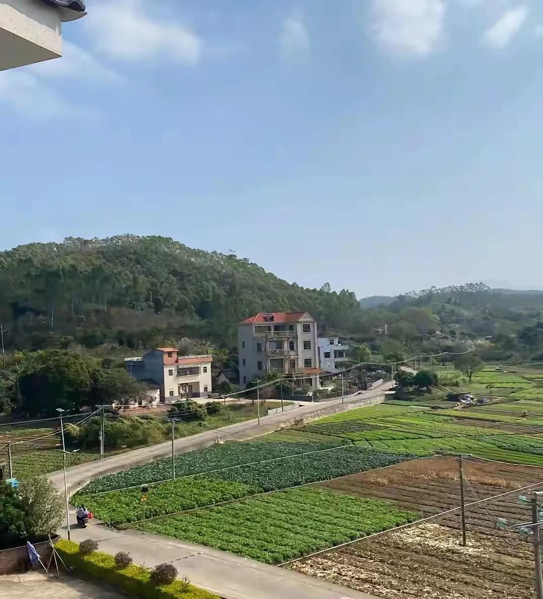 风水大师常帮人遴选地方、勘察地方来作为安葬之处。主家若发达兴盛了，这与大师并无瓜