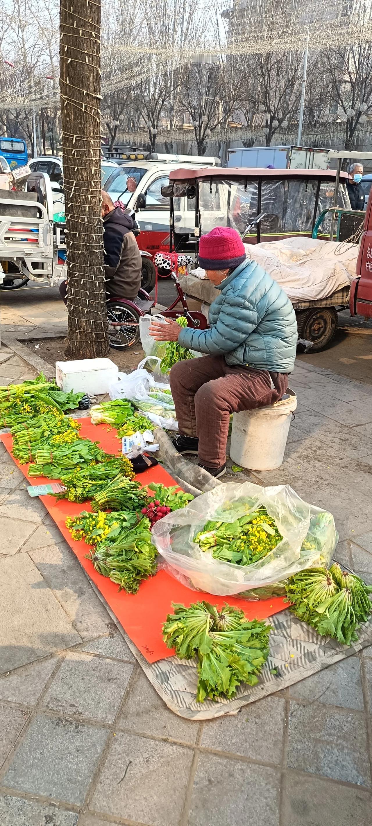 我们的教育到底培养的是什么样的人呢？早上去市场买菜，看着大妈的菜花很新鲜，她说