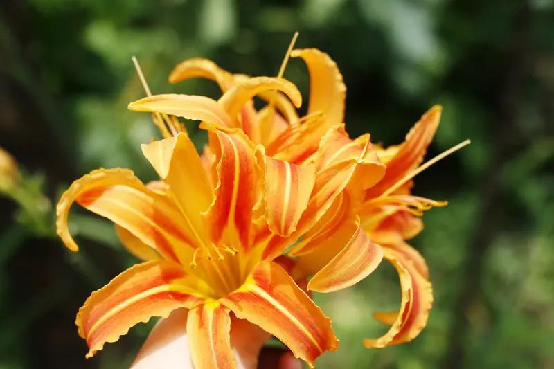 笑不活了！山东一女子想出去找工作，就让婆婆来帮忙带娃，结果自己找了好几天工作都没