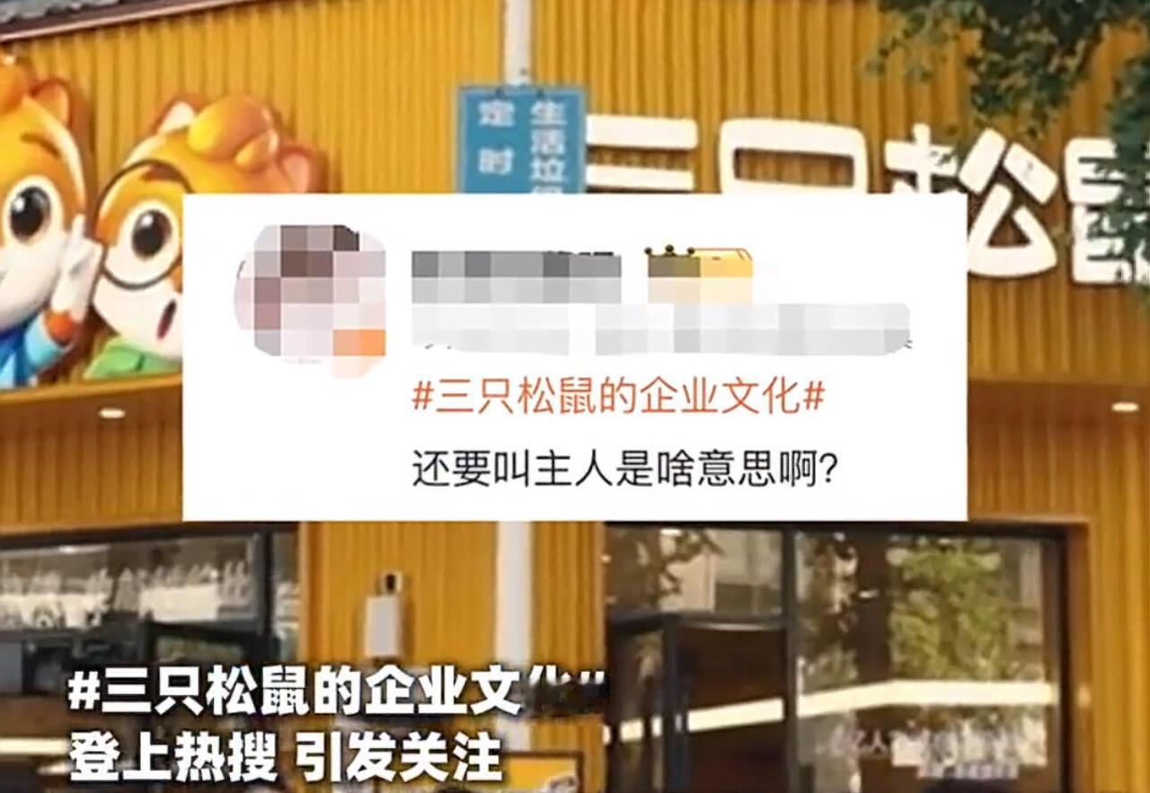 这事儿可真够膈应人的。双十一刚过，有网友买三只松鼠的坚果想退货，结果在填信息时发