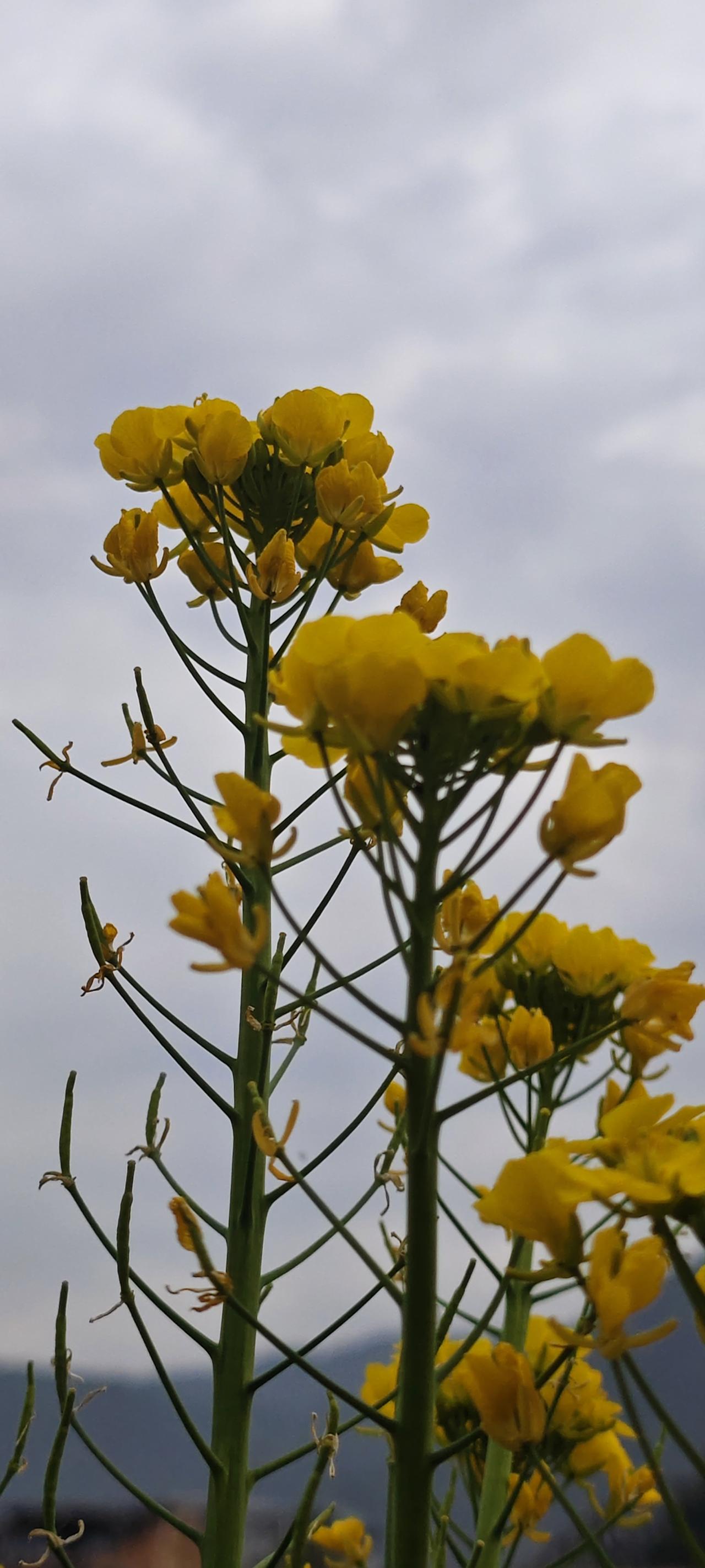 利益交织牵扯人性弱点，天下无一人可交；情义交织牵扯人性优点，天下无处不是友。