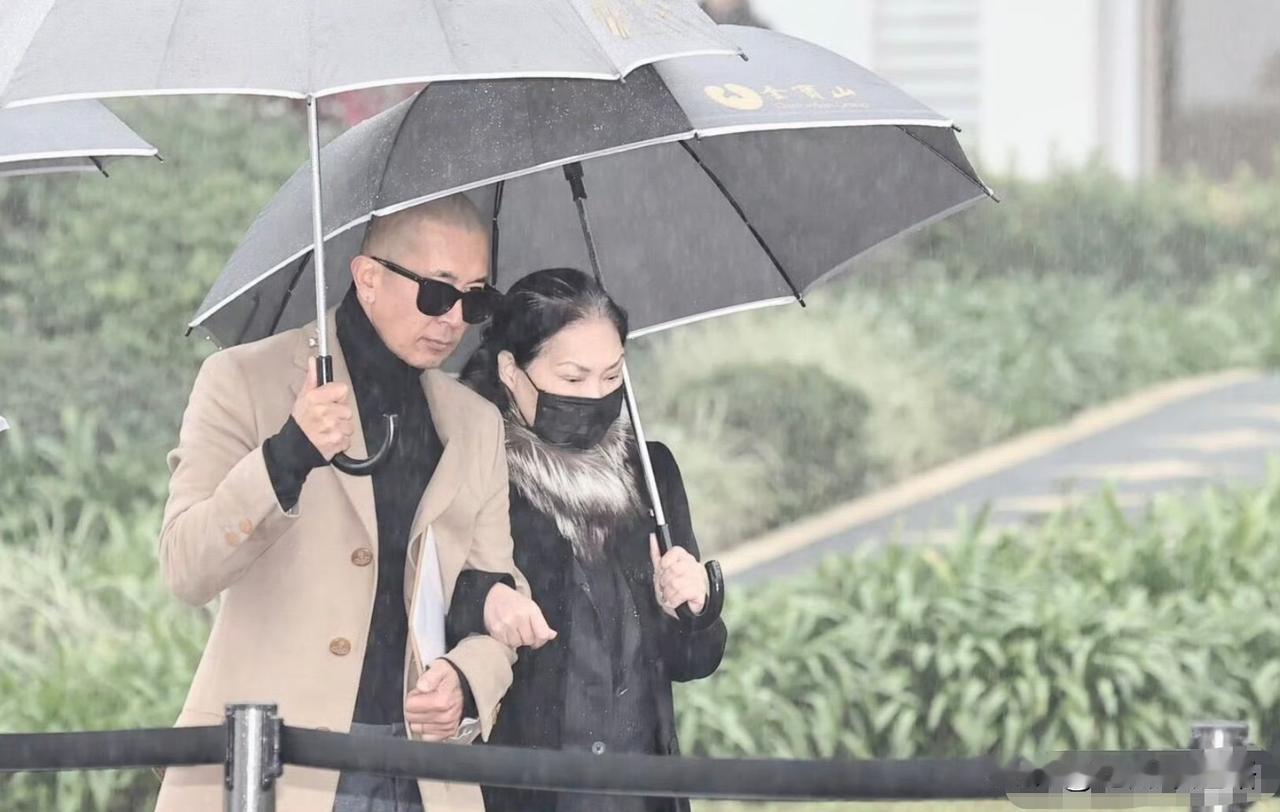 最看不懂的关系，就是S妈和女婿具俊晔的亲密。女儿大S刚走没多久，丈母娘就挽着