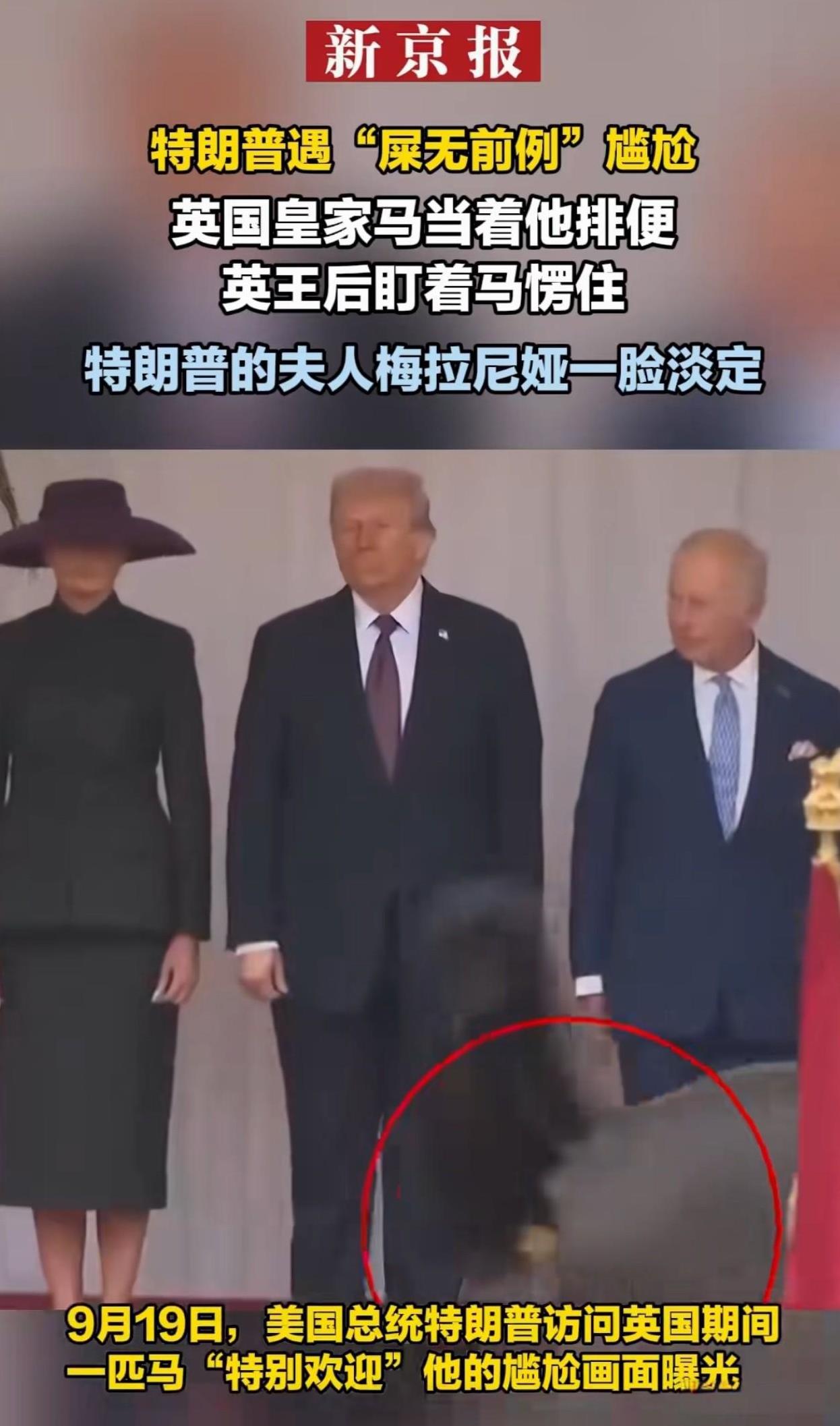 笑死了，“屎无前例”[捂脸哭][捂脸哭][捂脸哭]