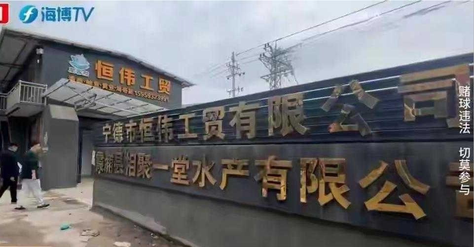 惨痛警示！福建千万海参老板遭同学设局赌球输掉2200万自尽，近年网赌泛滥已成巨大