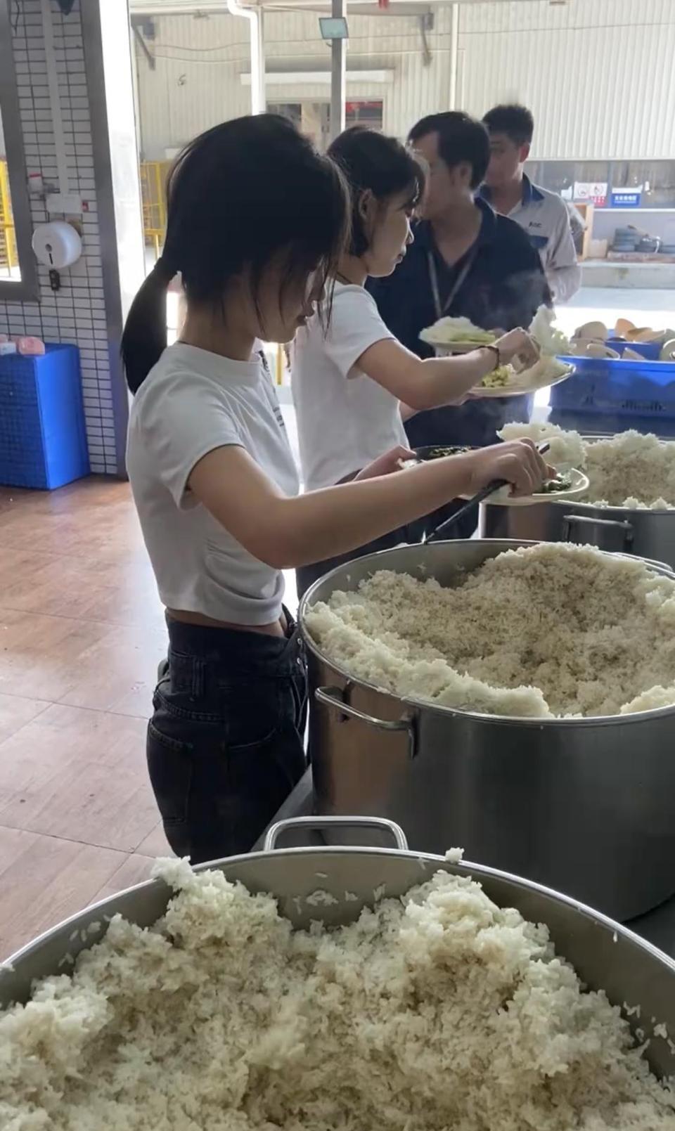 老哥们，扛不住就进厂吧？包吃包住，至少不用睡公园了[微笑]大米饭，还是很香的