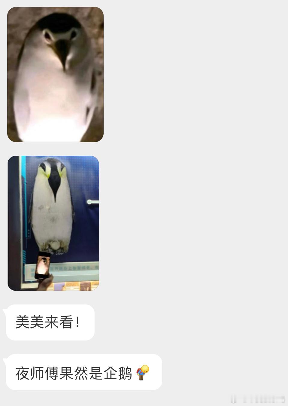 ？？？这种角度我是真妹想到的​​​