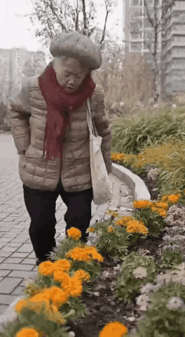 真是林子大了什么鸟都有公园里一位穿羽绒服的老奶奶走路都颤颤巍巍可不知