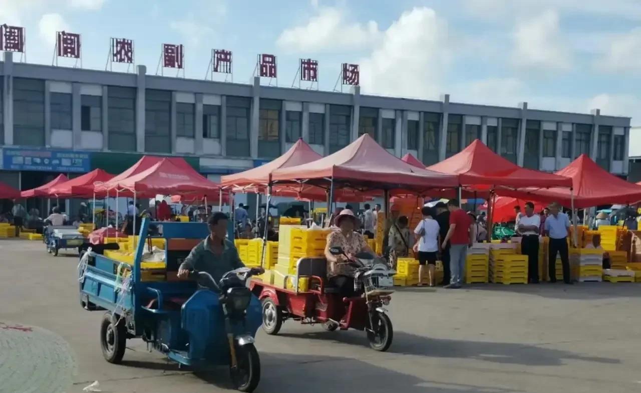下午一点半，我来到了水蜜桃批发市场，准备要去给青岛姑姑家寄几箱桃子。水蜜桃是我