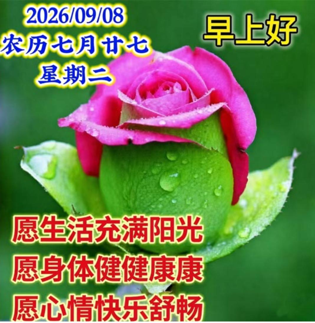白露节气过后，早晚温差变大，入夜转凉，出门在外要注意衣服的增减，预防感冒特重要，