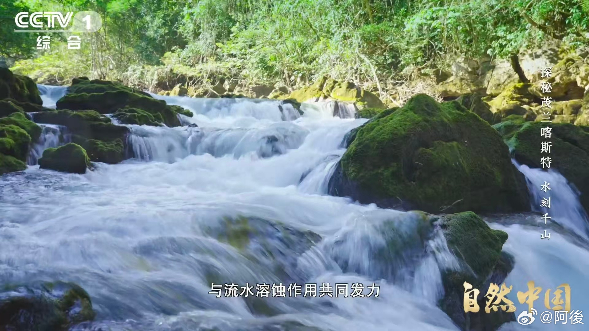 原来贵州曾是大海贵州的山水藏着亿万年的秘密，山顶发现的珊瑚化石就是最好的证明?