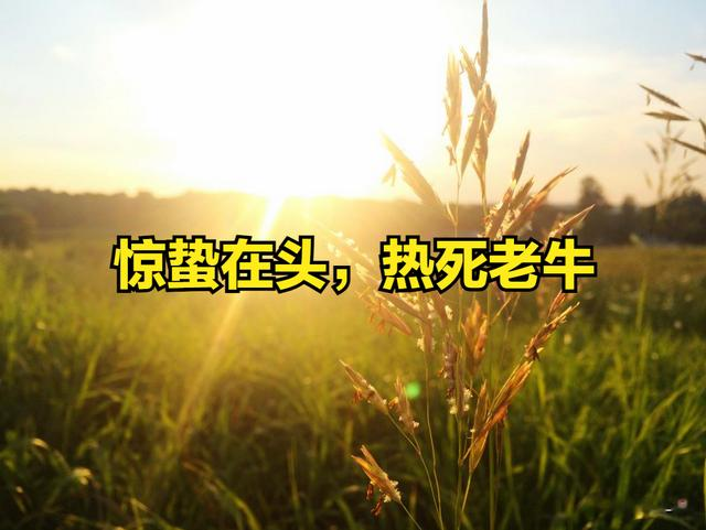 “惊蛰在头, 热死老牛”, 明日惊蛰, 有何预兆? 今夏会很热吗?