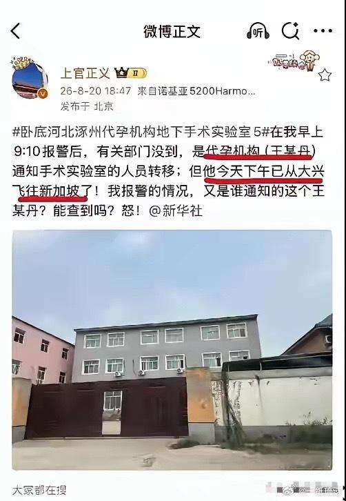 上官正义早上9点10分报警，下午核心负责人王某丹从大兴机场飞新加坡了。他问：“我
