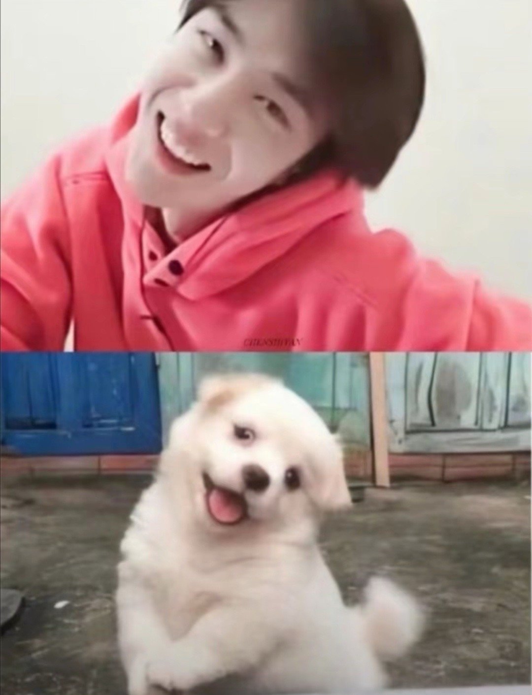这是谁干的怪可爱的​​​