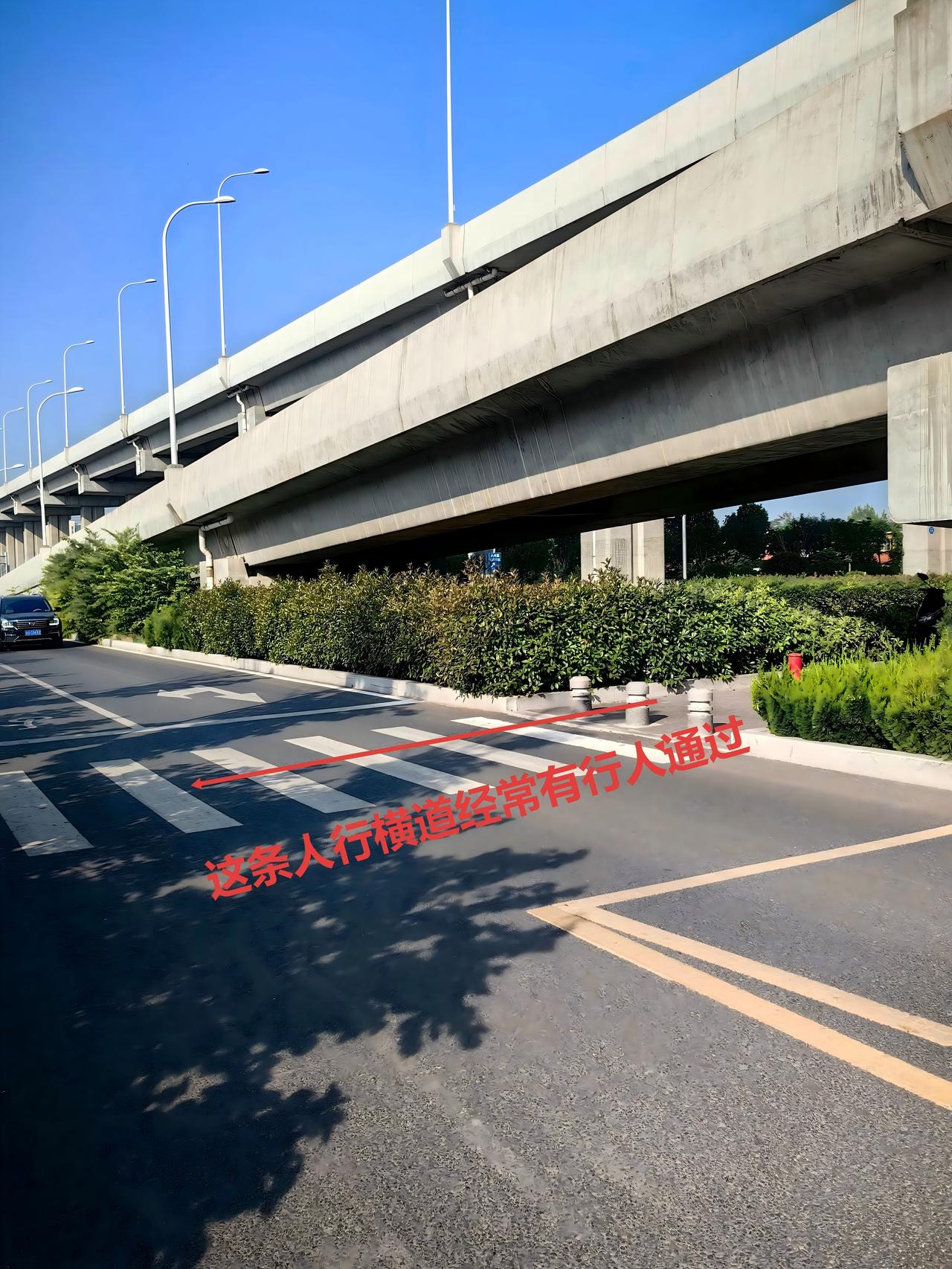 【济宁路口绿植挡视线国企养护遭质疑】据济宁市网络问政平台消息，近期有市民反映，