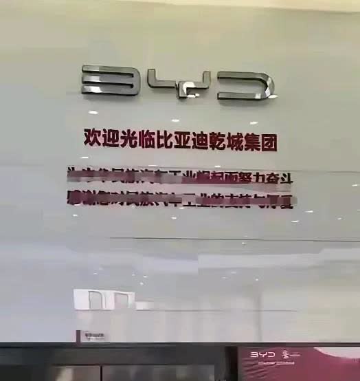 去年就和一些经销商伙伴谈及，称比亚迪的经营模式风险确实不小，一个城市存在二三十家