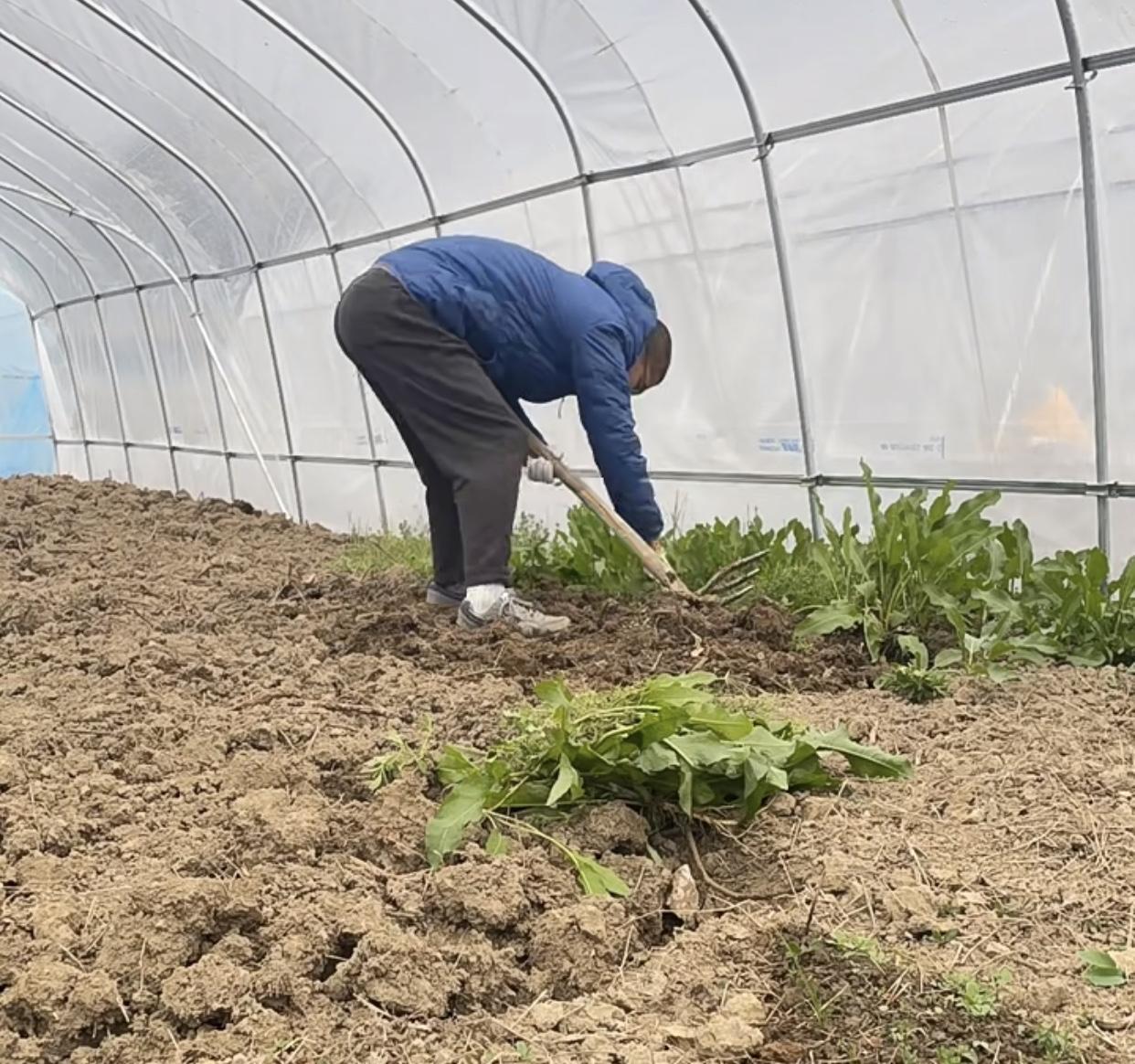 刷到这话题，心里挺有感触的。先跟大家聊聊国家的养老政策：现在不仅有基础养老金