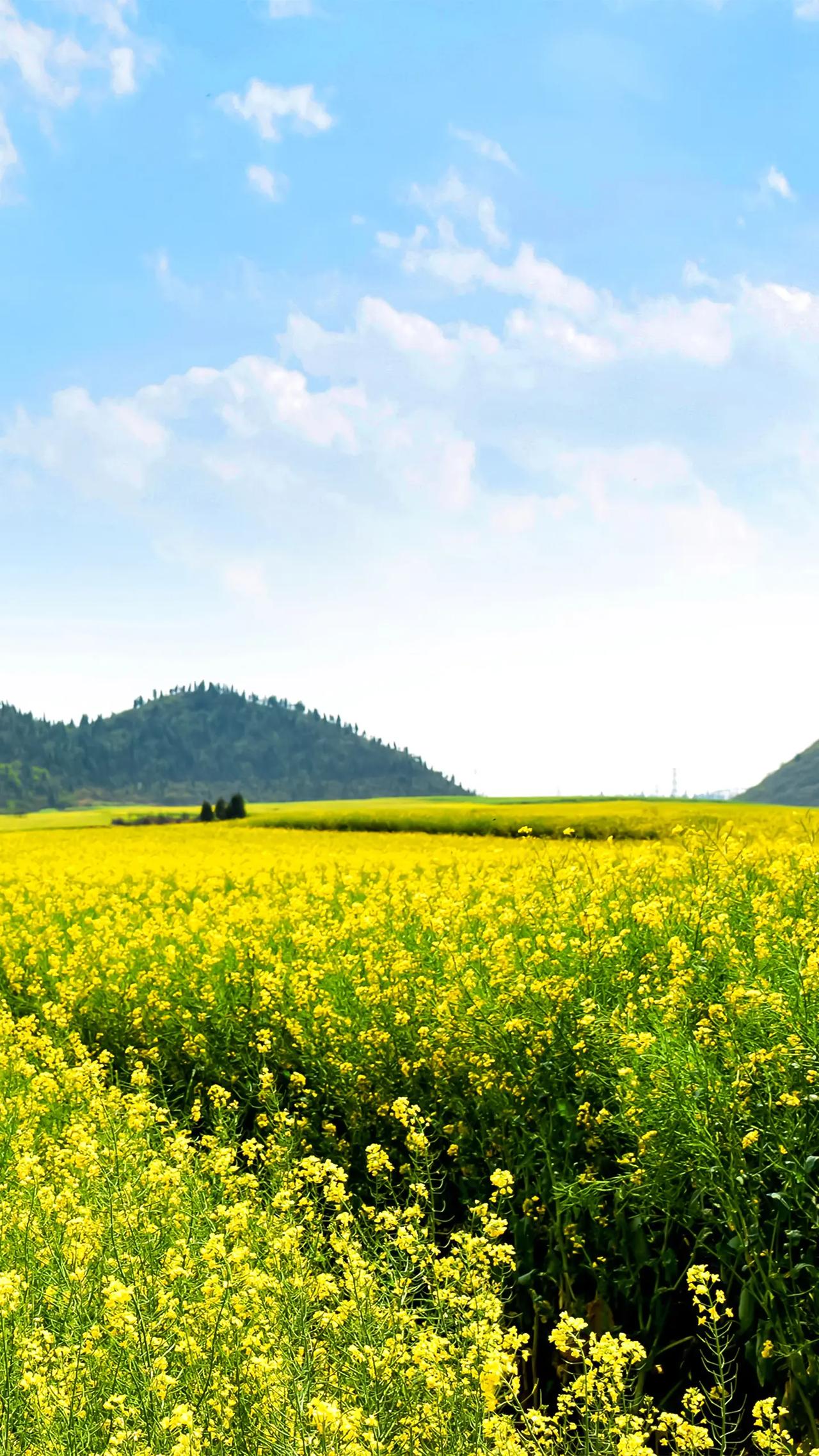 老师和老师怎么可能一样呢？昨天我安排一个老师上课的时候，学生就有意见。今天我安排