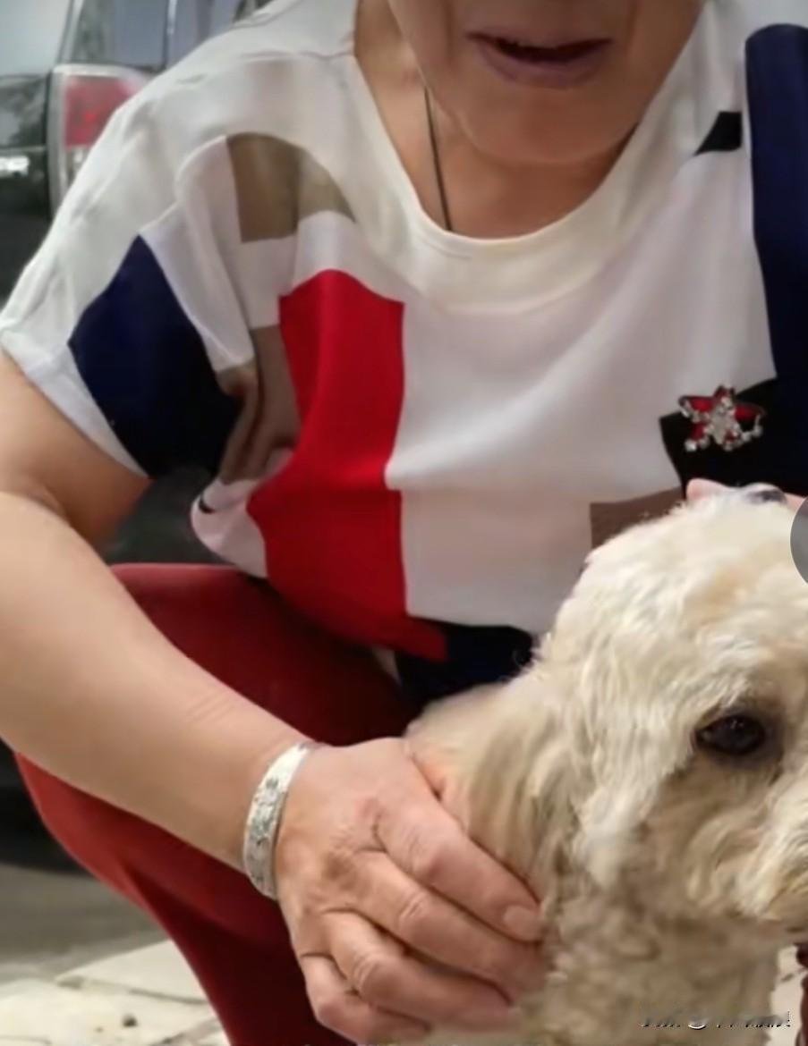 大娘平日里一直收养流浪狗，可这次，她不得不将养了五年的狗狗送给别人。因为工作压力