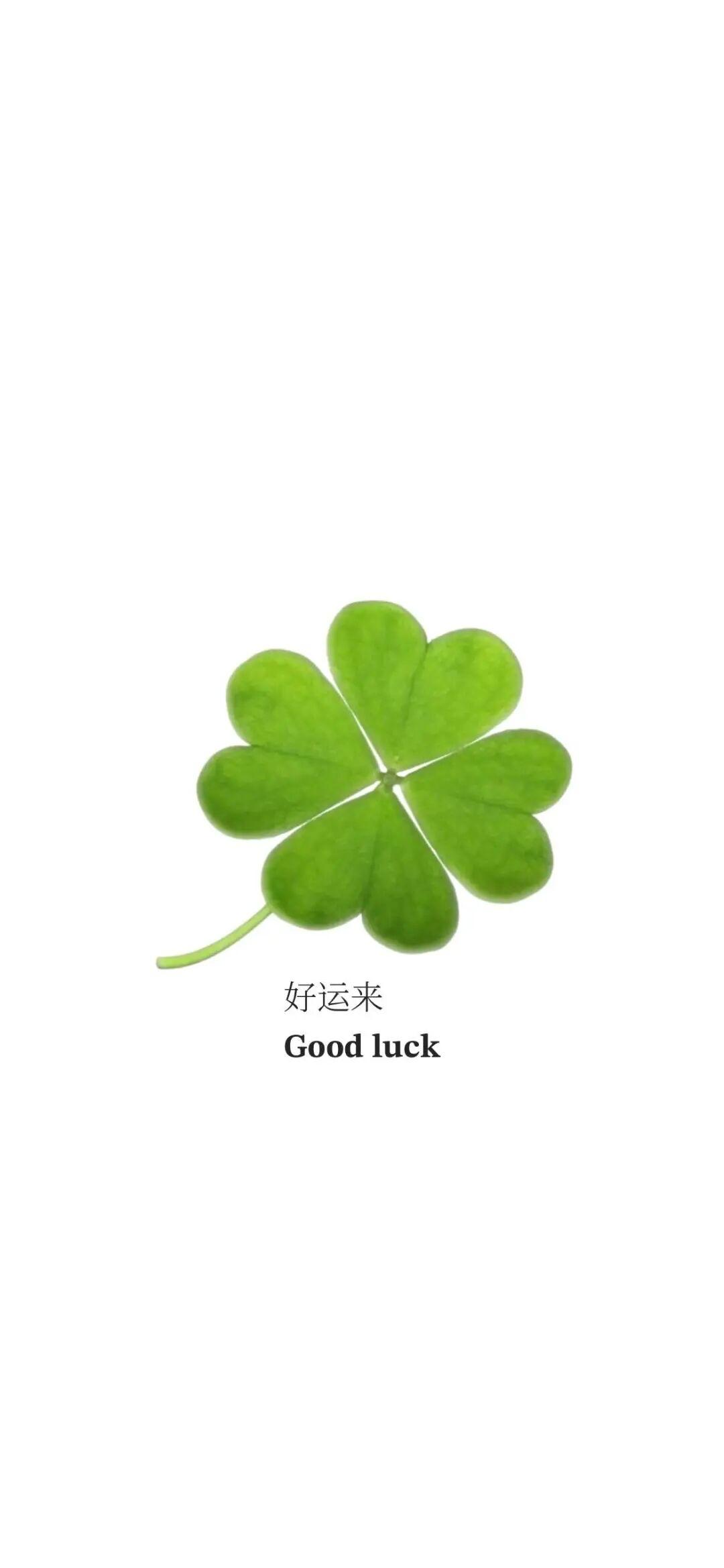 怎样才能让自己的运气旺起来?8月13日周四是农历七月初一，传说中地府门户要打