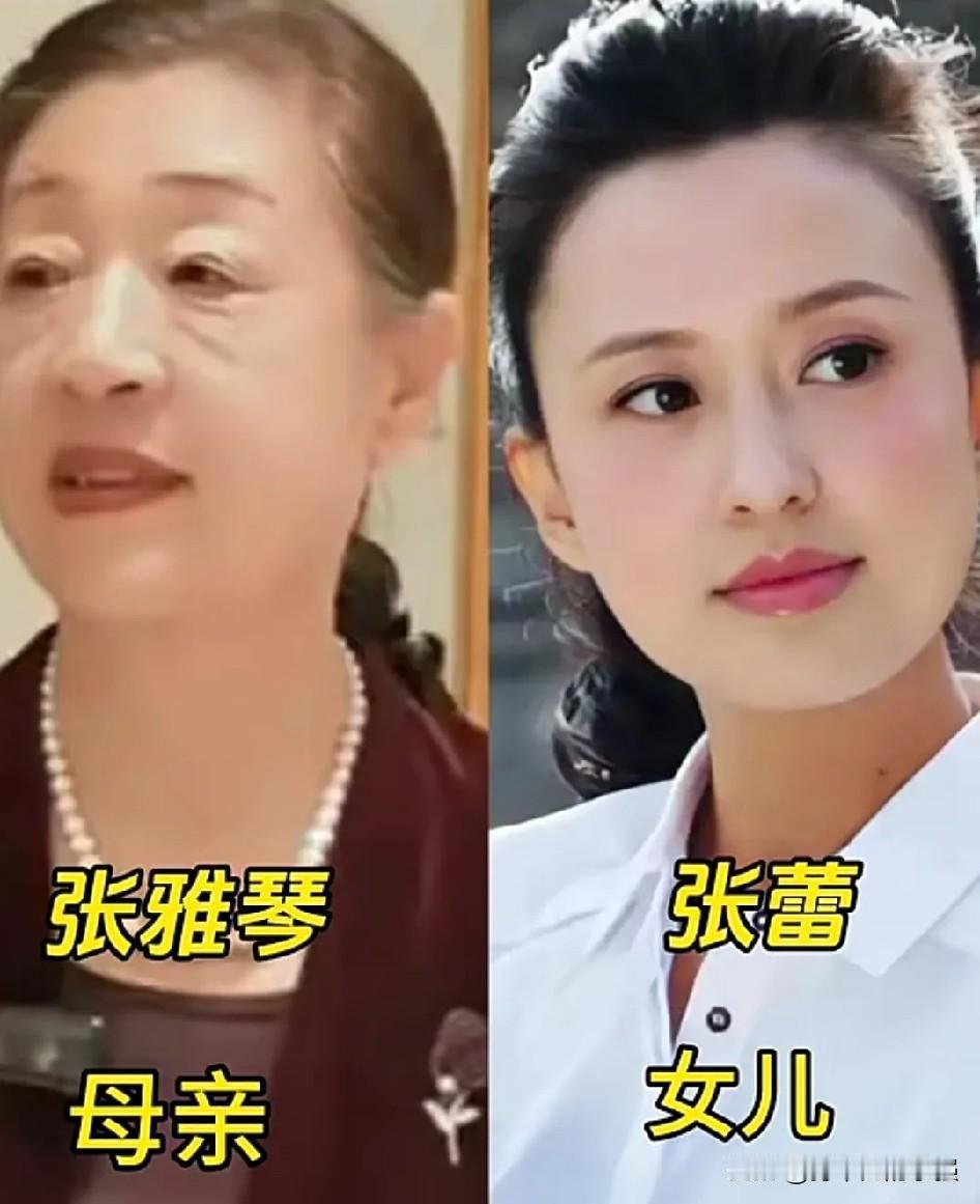 央视名嘴和父母同框，优秀的人背后都有温暖家人张蕾&母亲张雅琴｜董卿&母