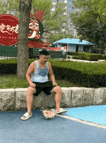 小狗围着主人跑来跑去，主人突然把它抓了起来，当看到这的时候，心里一下子就悬了起来