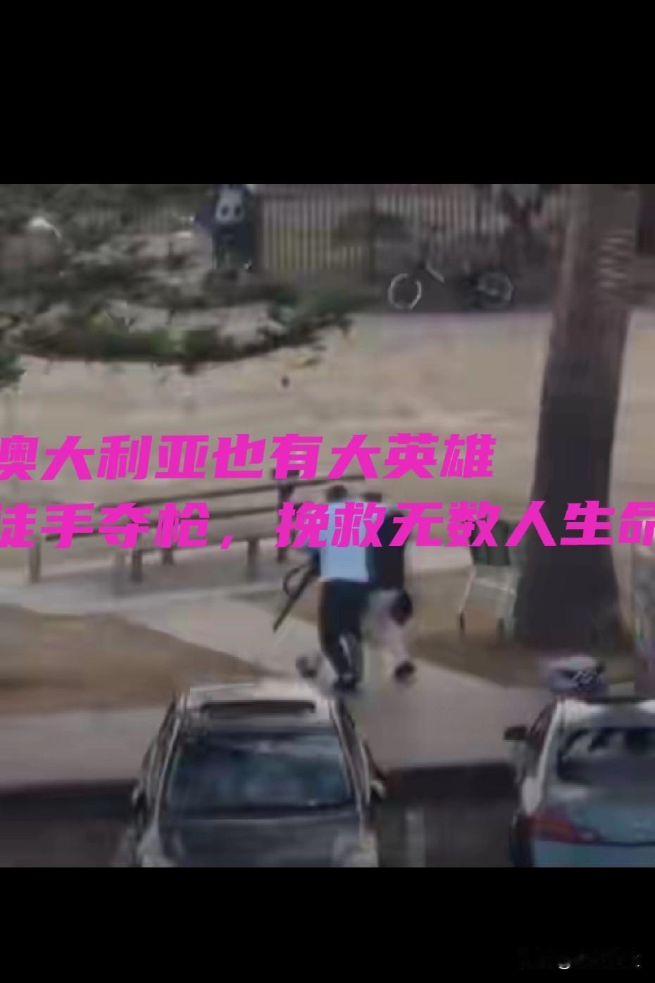 澳大利亚也有大英雄临危不惧，赤手夺枪，挽救无数人生命12月14日，澳大利亚悉