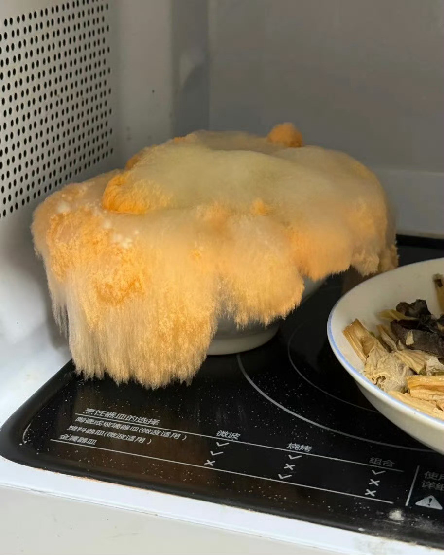 这是什么菌啊？菜放微波炉一个多星期忘记拿出来今天热菜突然看到这一幕[捂脸哭]​​
